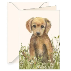 Karnet B6 + koperta 6181 Brązowy szczeniak - Tassotti