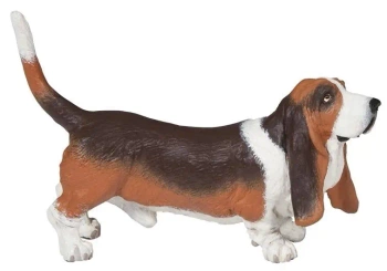Basset - PAPO
