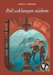 Dawid i Larisa T.5 Pod szklanym niebem - Martin Widmark