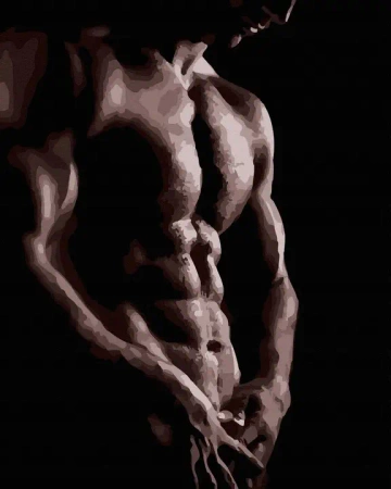 Malowanie po numerach Męski tors - TWOJE HOBBY plakaty