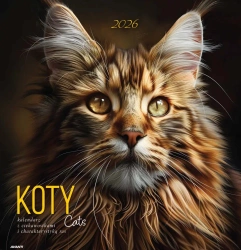 Kalendarz 2026 ścienny albumowy 30x30cm Koty - AVANTI