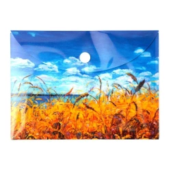 Paczka Teczka A6 kopertowa PP Niebo 5 szt. - Narcissus