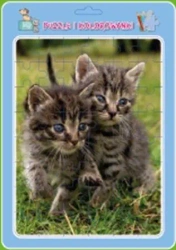 Puzzle w ramce z kolorowanką. Koty - MD Creative