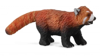 Panda czerwona - Collecta