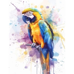 Malowanie po numerach 40x50cm Papuga - Koh-I-Noor