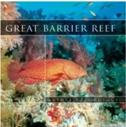 Great Barrier Reef CD - Teddy Records
