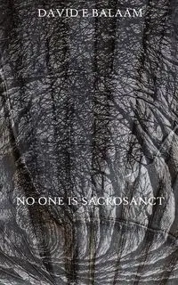 No One Is Sacrosanct - David Balaam E