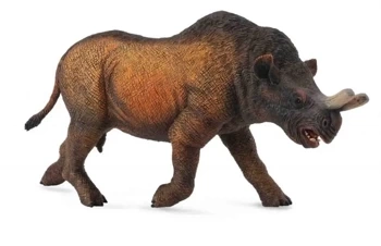 Megacerops - Collecta