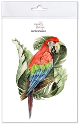 Naprasowanki Ara zielonoskrzydła - Mama Maluje
