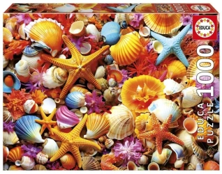 Puzzle 1000 Kolorowe muszelki - Educa