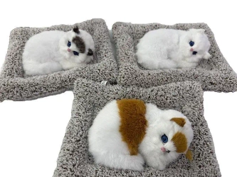 Kotek pluszowy na poduszce z dźwiękiem MIX - ADAR