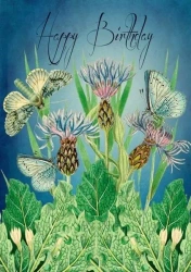 Karnet B6 z kopertą Urodziny Ogród - Madame Treacle