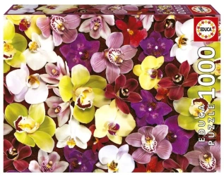 Puzzle 1000 Storczyki - Educa