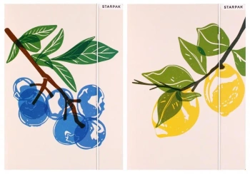 Teczka z gumką A4 Fruits - STARPAK