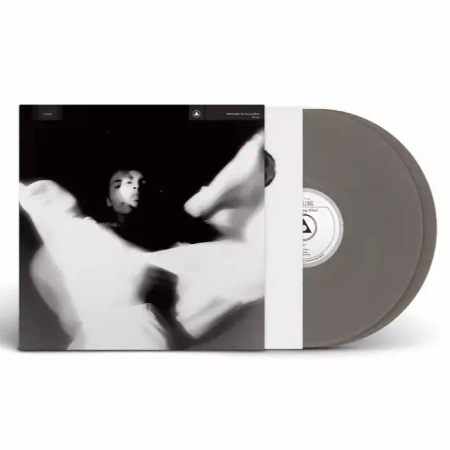 The Turning Wheel LP SILVER, Winyl