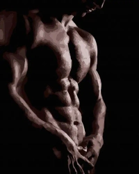 Malowanie po numerach Męski tors - TWOJE HOBBY plakaty