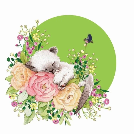 Karnet Swarovski kwadrat CL2002 Kot - Clear Creations