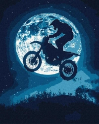 Malowanie po numerach - Nocny szał 40x50cm - Ideyka