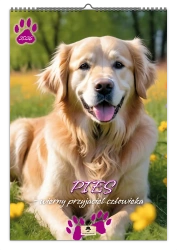Kalendarz 2026 A3 ścienny pis wierny przyjaciel - Pan Kalendarzyk