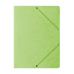 Teczka A4  preszpanowa z gumką Bantex jasnozielony
