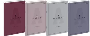 Zeszyt B5/60K kratka Academy (10szt) - INTERDRUK