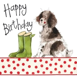 Karnet Urodziny S100 Pies i kalosze - Alex Clark