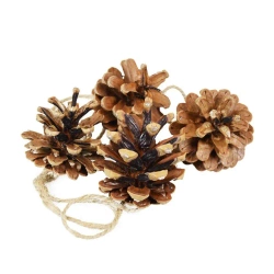 Szyszki naturalne 4szt - Arpex