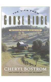 The View from Goose Ridge - Cheryl Bostrom