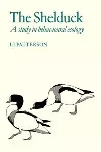 The Shelduck - Patterson I. J.