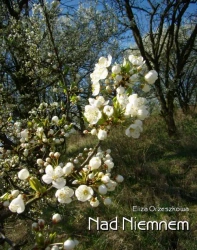 eBook Nad Niemnem - Eliza Orzeszkowa epub mobi