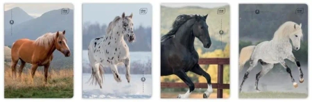 Zeszyt A5/32K 3kol linia 70g UV Wild Horses(10szt) - INTERDRUK