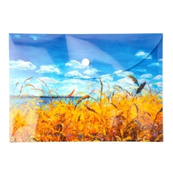 Paczka Teczka A5 kopertowa PP Niebo 5 szt. - Narcissus