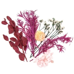 Kwiaty suszone dekoracyjne bordowy różowy - Dalprint