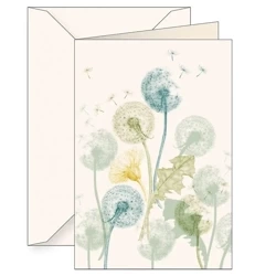 Karnet B6 + koperta 6127 Mniszek lekarski - Tassotti