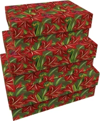 Pudełka ozdobne Gwiazda Betlejemska 3szt Święta BN - Skona Ting