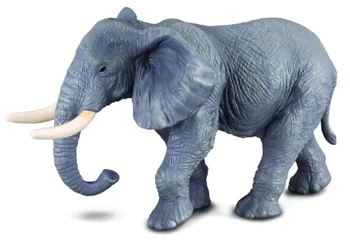 Słoń afrykański - Collecta