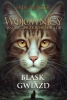 Wojownicy T.4 Blask gwiazd - Erin Hunter