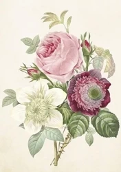 Karnet ST413 B6 + koperta Róże - Skona Ting