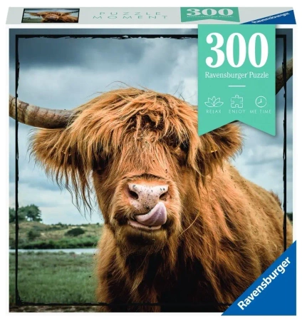 Puzzle Moment 300 Szkocka krowa - Ravensburger