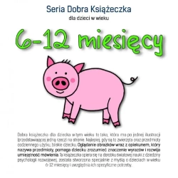 Dobra książeczka 6-12 miesięcy - Agnieszka Starok
