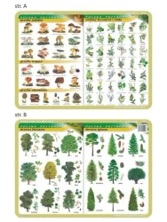 Podkładka edu. 024 - Grzyby, rośliny lecznicze... - Visual System