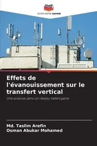 Effets de l'évanouissement sur le transfert vertical - Arefin Md. Taslim