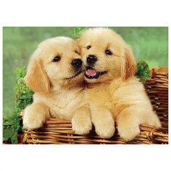 Mozaika diamentowa 5D - Psy 40x30cm - Titanum