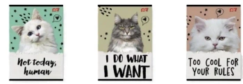 Zeszyt A5/32K linia podw. 2 kolor Caturday(15szt) - UNIPAP