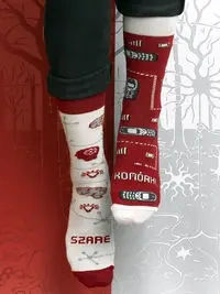 Skarpety Szare komórki 43-46 - Nadwyraz