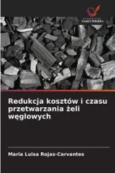 Redukcja kosztów i czasu przetwarzania żeli węglowych - Maria Luisa Rojas-Cervantes