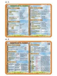 Podkładka edu. 010 - Pisownia z -by i nie.. - Visual System