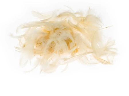 Pióra ecru 5-12cm 7g - Brewis