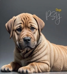 Kalendarz 2026 ścienny 32x32cm Psy - AVANTI