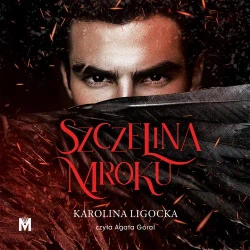 audiobook Szczelina mroku - Karolina Ligocka